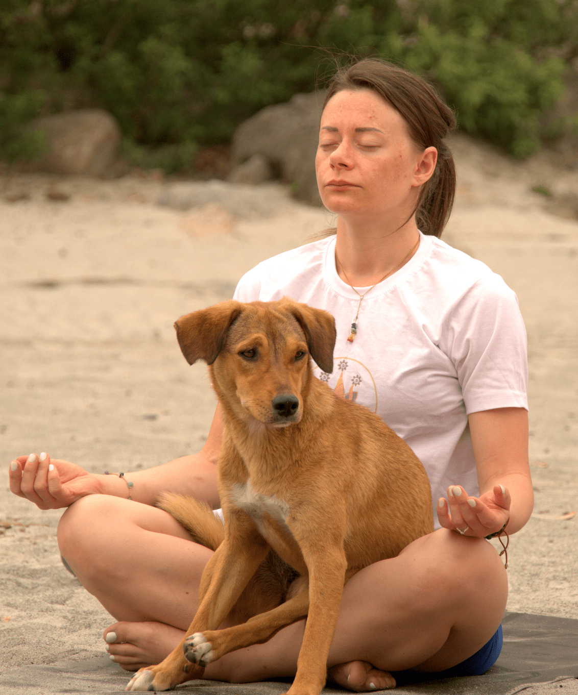 Yoga School in Rishikesh