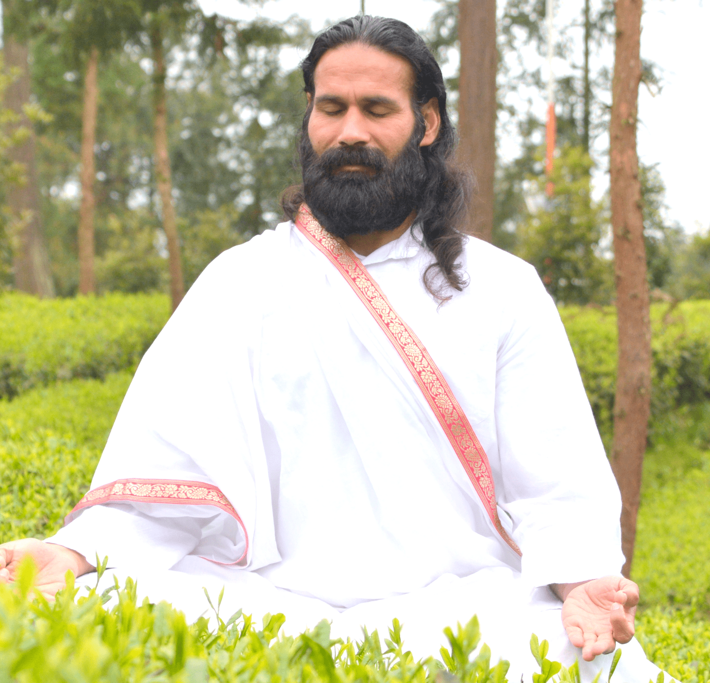 yoga training Rishikesh